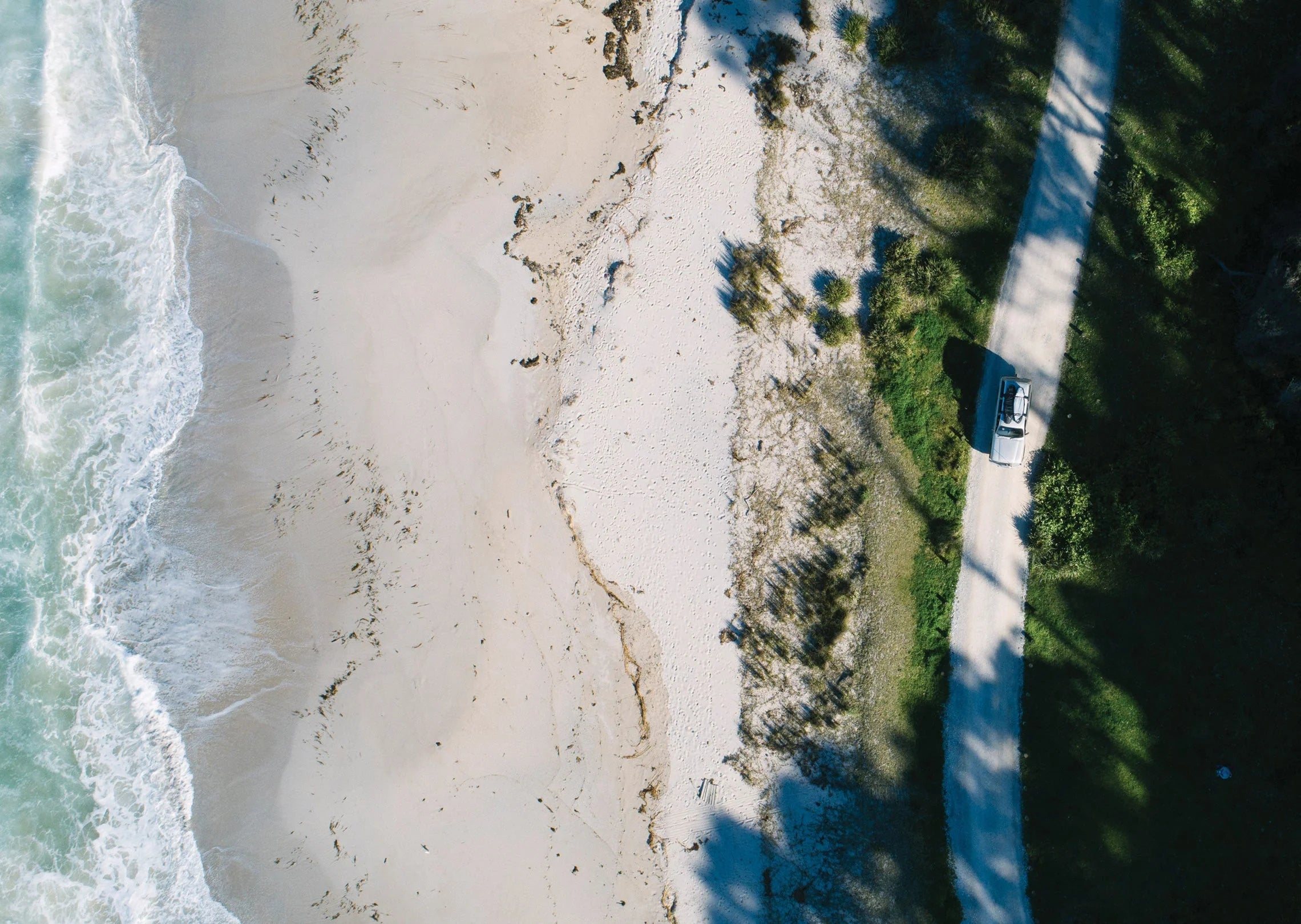 COR-X – Fish – Ocean and Earth EU