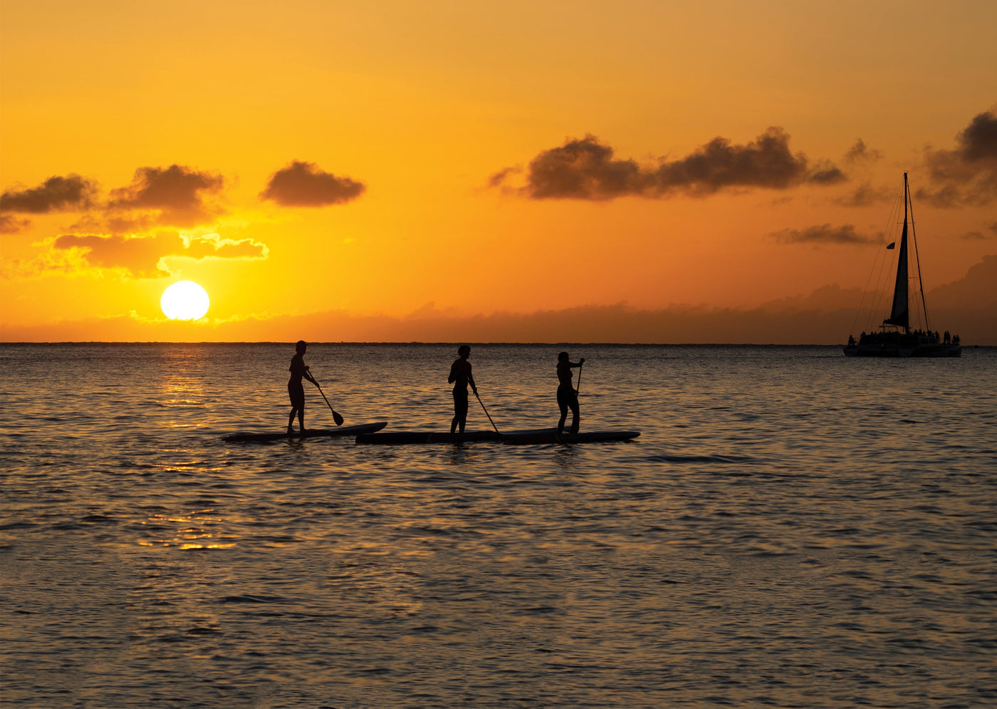 Bodyboard & SUP